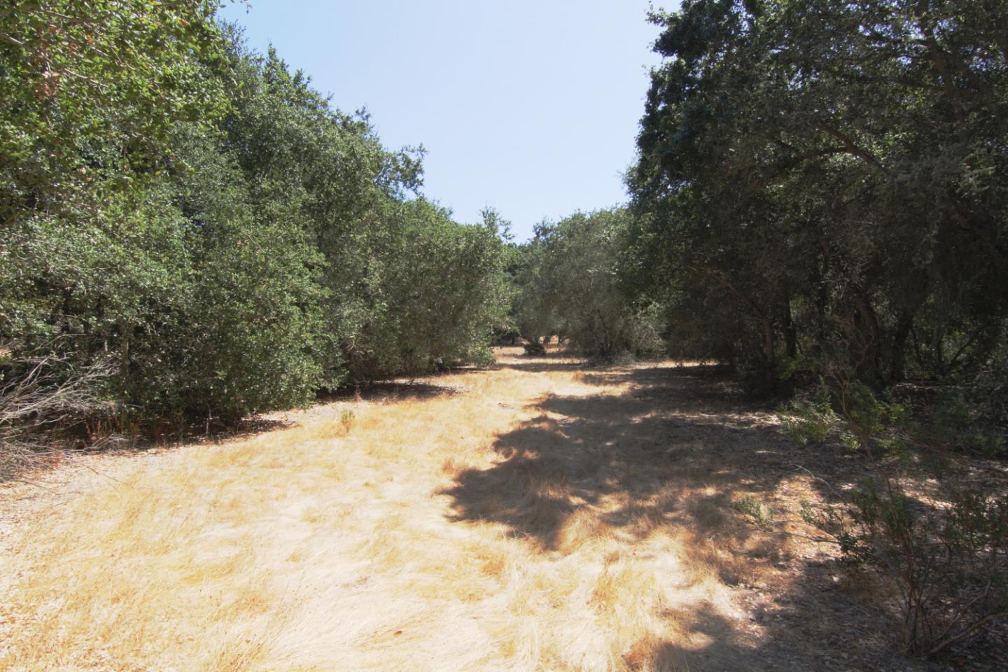 0 Corral de Tierra Road, OTHER - SEE REMARKS, California 93908, ,Lots And Land,For Sale,Corral de Tierra Road,40962053