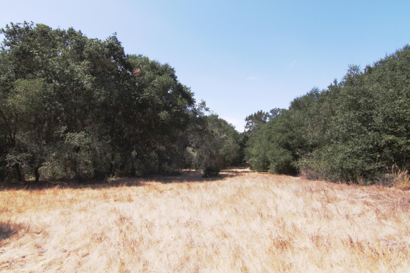 0 Corral de Tierra Road, OTHER - SEE REMARKS, California 93908, ,Lots And Land,For Sale,Corral de Tierra Road,40962053
