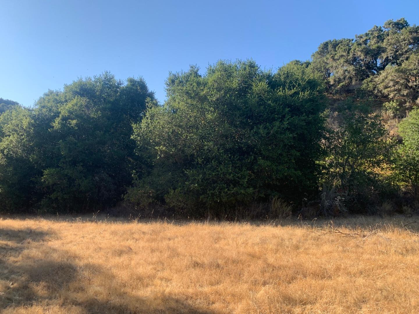 0 Corral de Tierra Road, OTHER - SEE REMARKS, California 93908, ,Lots And Land,For Sale,Corral de Tierra Road,40962053