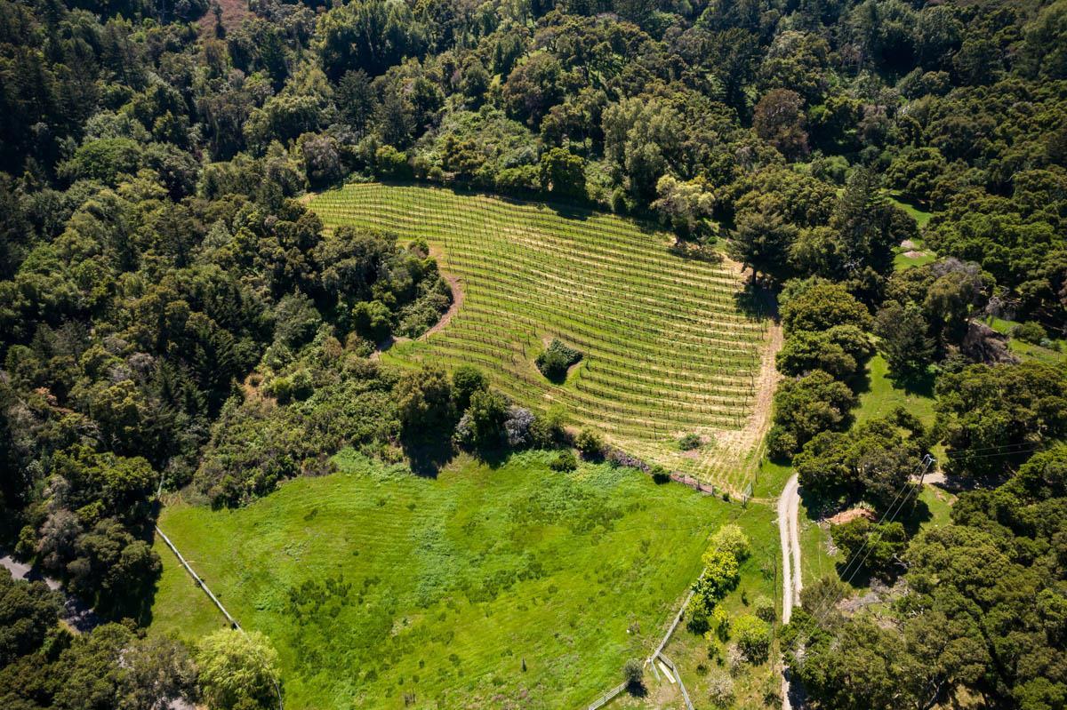 5660 Alpine Road, PORTOLA VALLEY, California 94028, ,Lots And Land,For Sale,Alpine Road,40968425