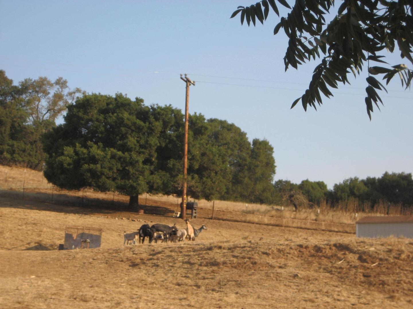 0 Doral Court, GILROY, California 95020, ,Lots And Land,For Sale,Doral Court,40961992