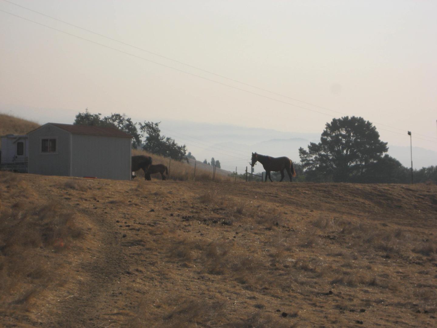 0 Doral Court, GILROY, California 95020, ,Lots And Land,For Sale,Doral Court,40961992