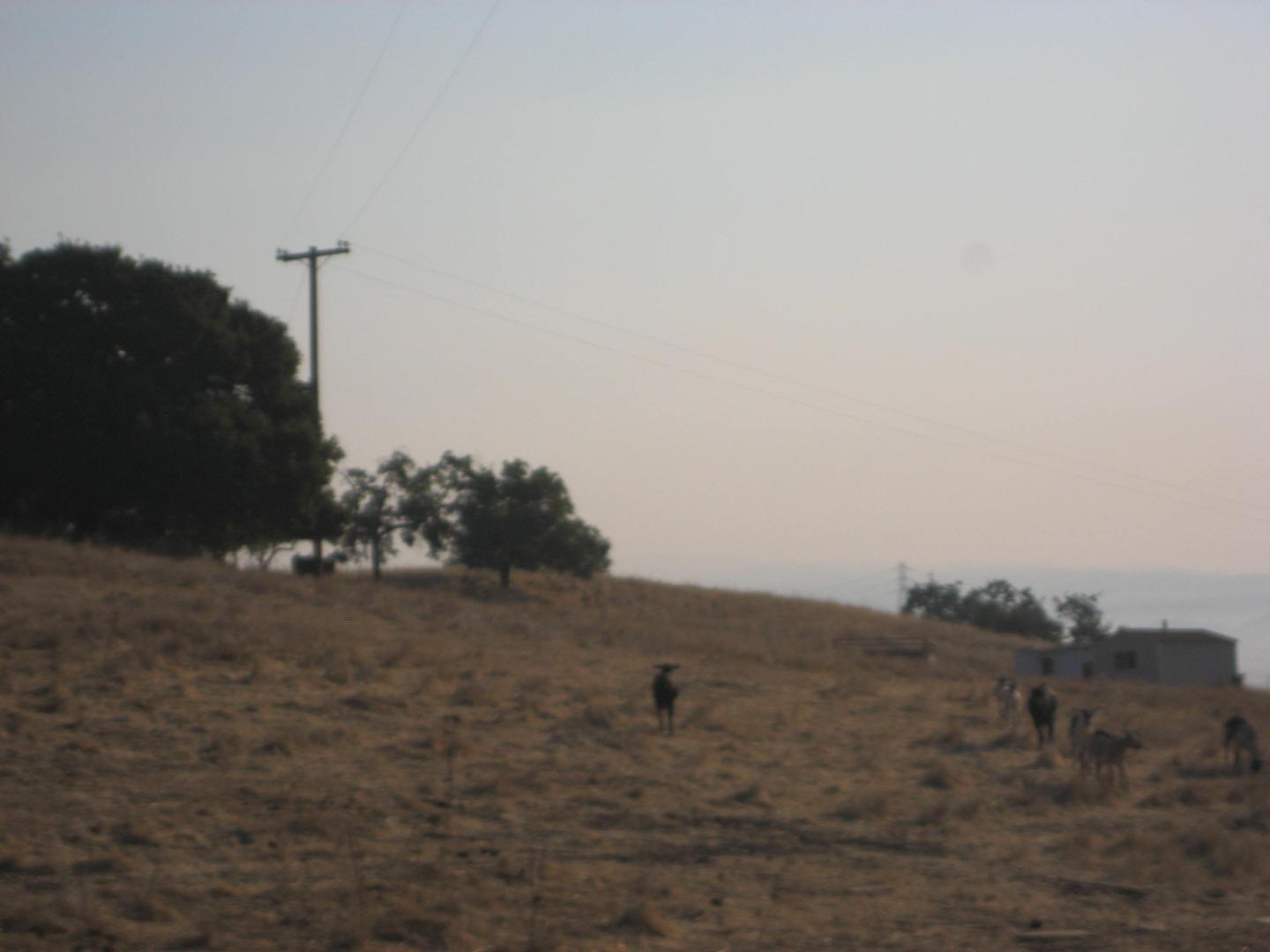 0 Doral Court, GILROY, California 95020, ,Lots And Land,For Sale,Doral Court,40961992