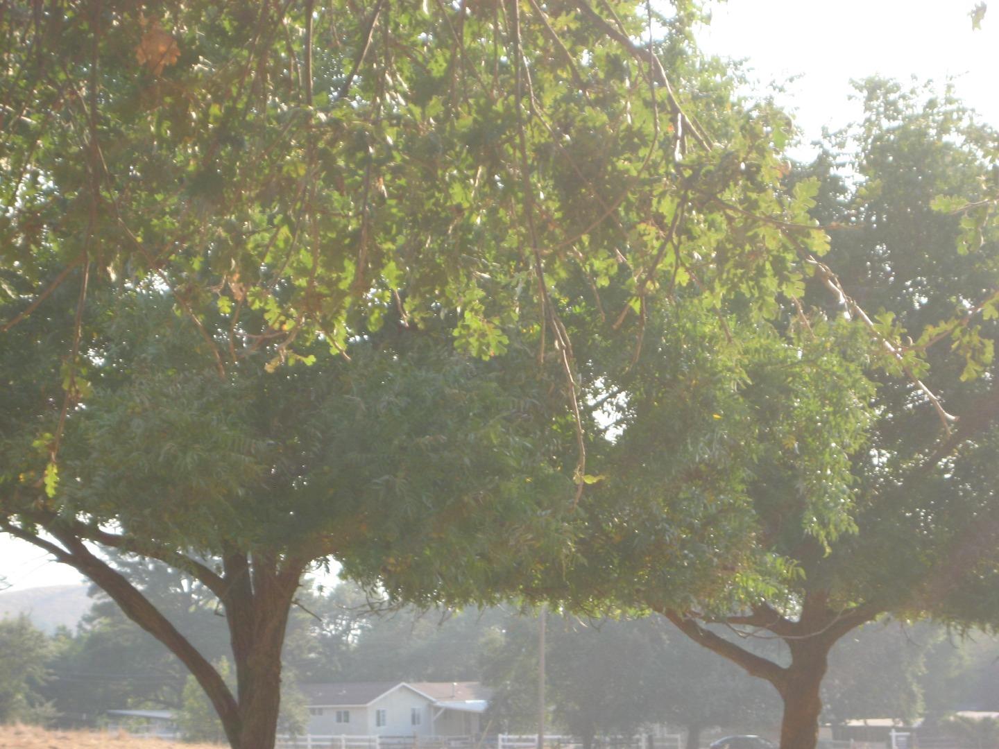 0 Doral Court, GILROY, California 95020, ,Lots And Land,For Sale,Doral Court,40961992