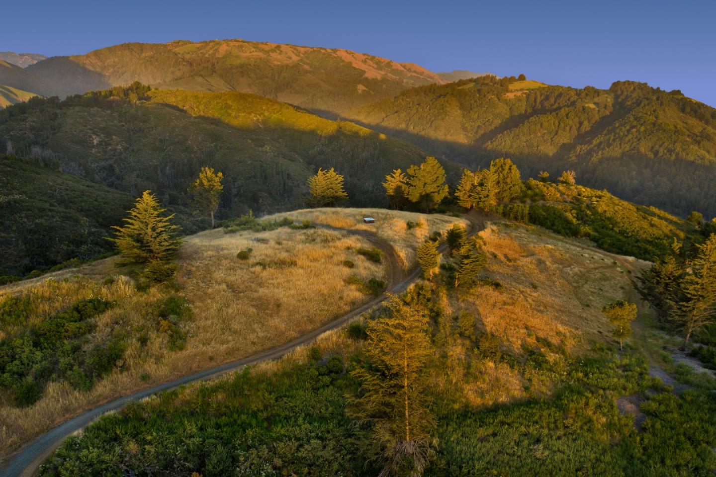 46720 Pfeiffer Ridge Road, BIG SUR, California 93920, ,Lots And Land,For Sale,Pfeiffer Ridge Road,40961691