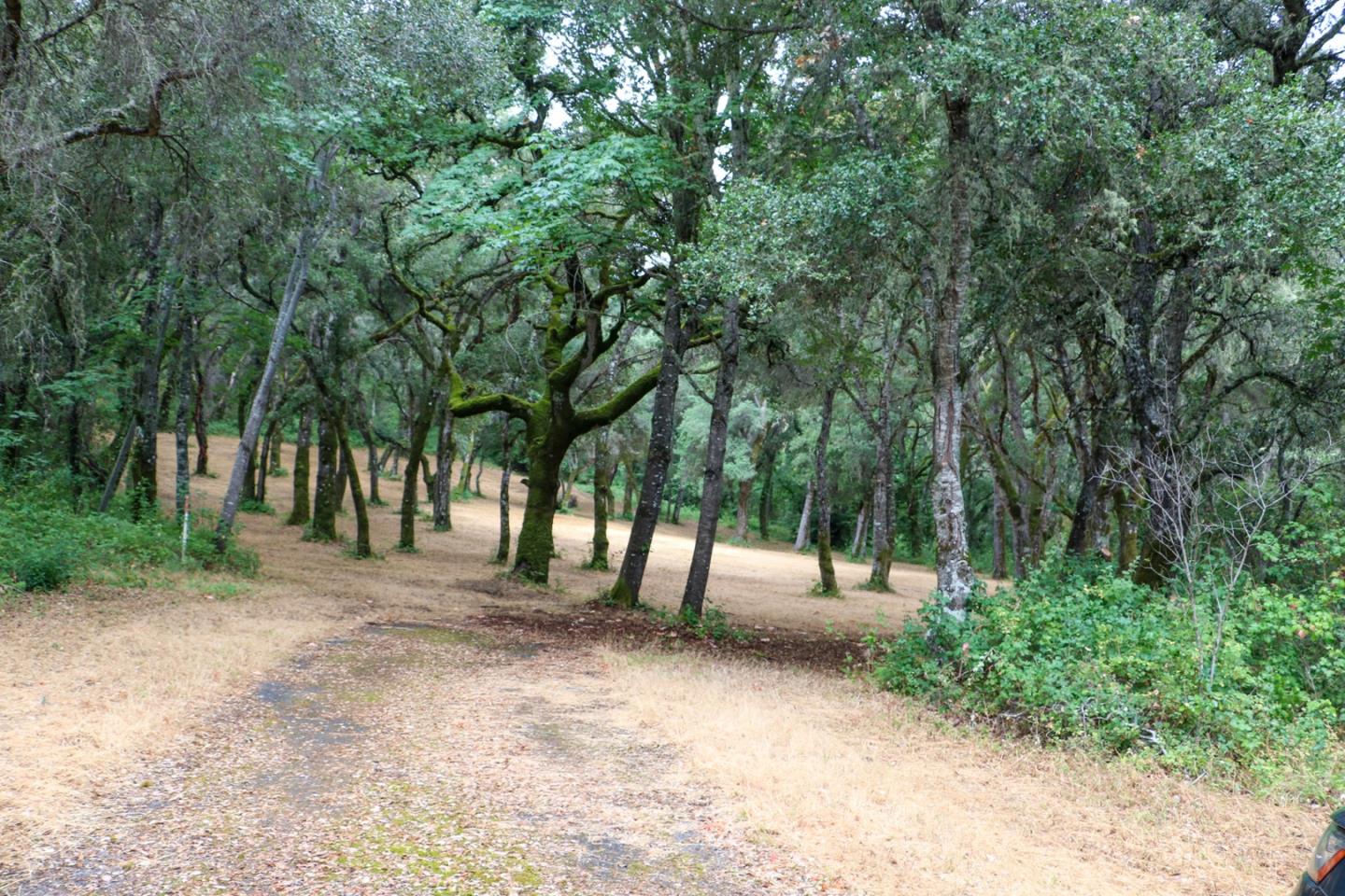 14 Arroyo Sequoia, CARMEL, California 93923, ,Lots And Land,For Sale,Arroyo Sequoia,40963160
