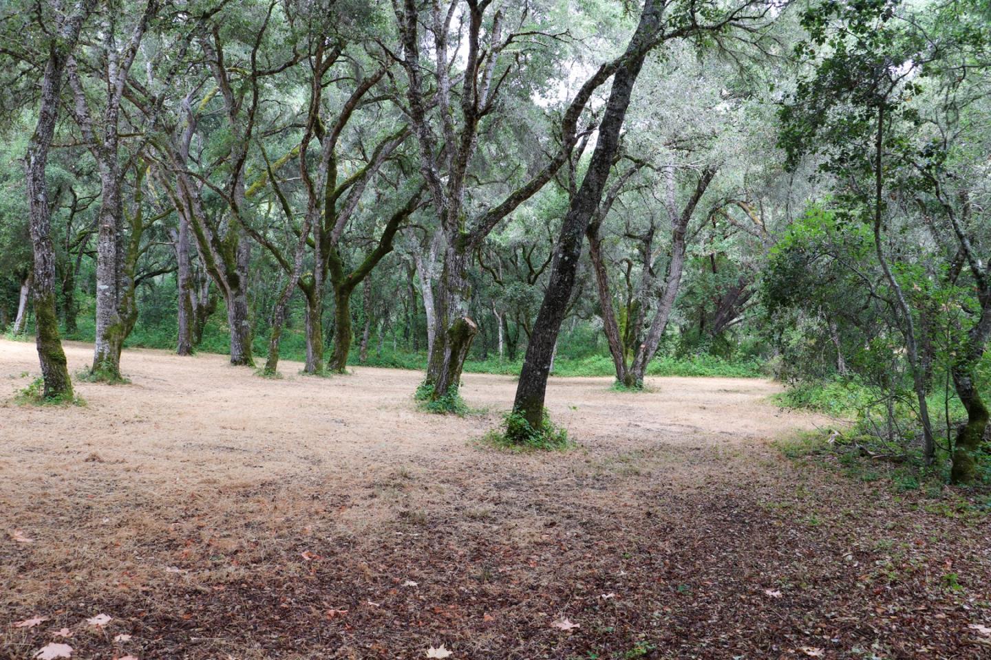 14 Arroyo Sequoia, CARMEL, California 93923, ,Lots And Land,For Sale,Arroyo Sequoia,40963160