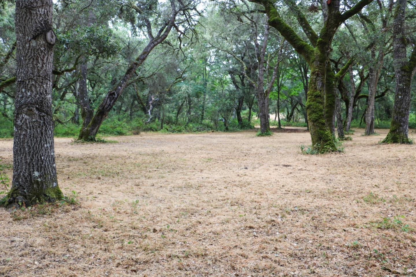 14 Arroyo Sequoia, CARMEL, California 93923, ,Lots And Land,For Sale,Arroyo Sequoia,40963160