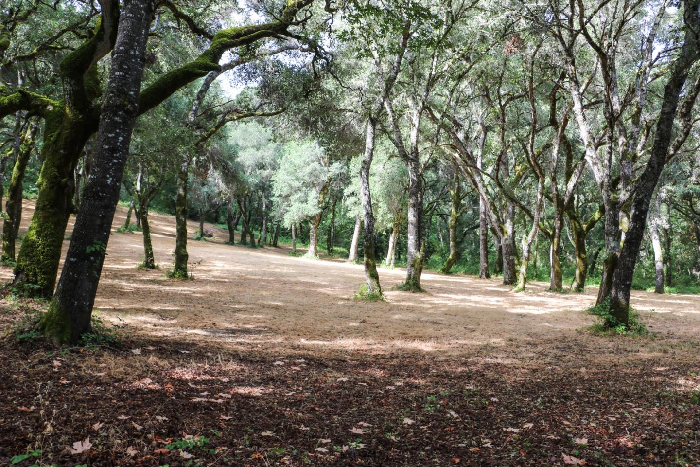 14 Arroyo Sequoia, CARMEL, California 93923, ,Lots And Land,For Sale,Arroyo Sequoia,40963160