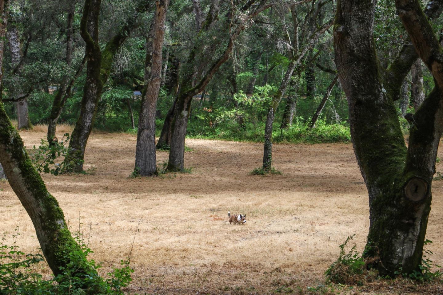 14 Arroyo Sequoia, CARMEL, California 93923, ,Lots And Land,For Sale,Arroyo Sequoia,40963160