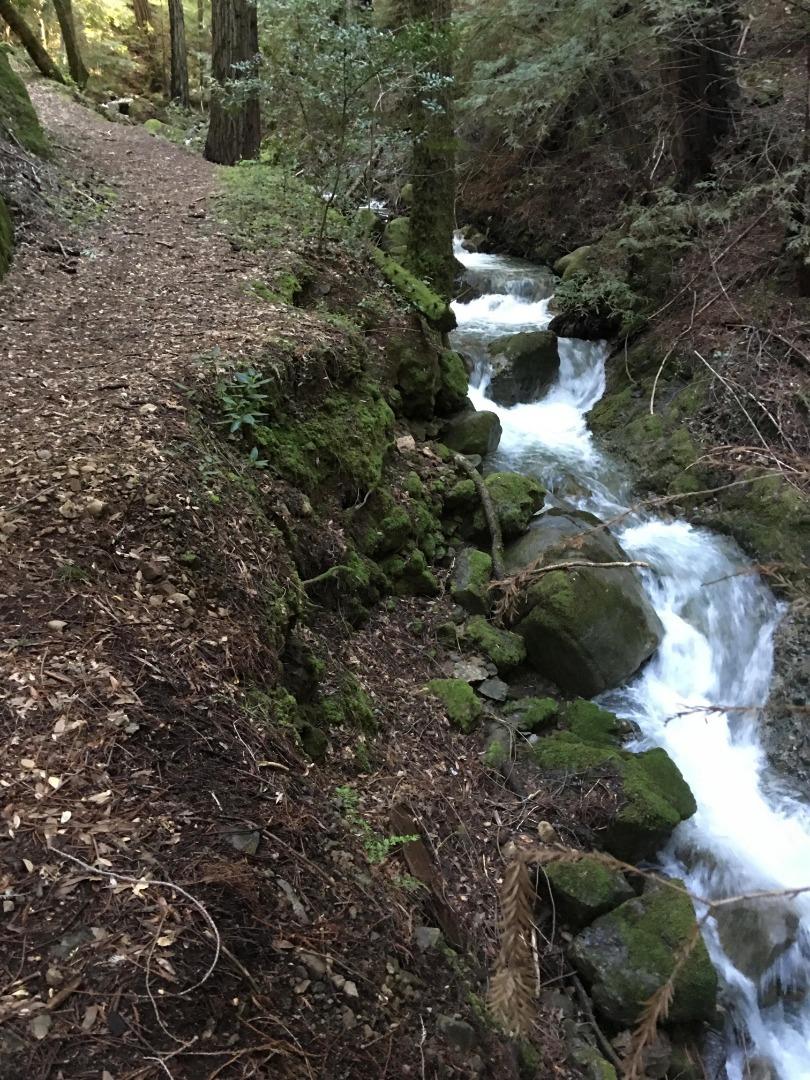 0 Llagas Road, MORGAN HILL, California 95037, ,Lots And Land,For Sale,Llagas Road,40962282