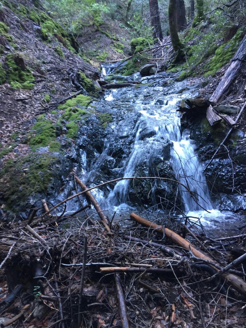 0 Llagas Road, MORGAN HILL, California 95037, ,Lots And Land,For Sale,Llagas Road,40962282