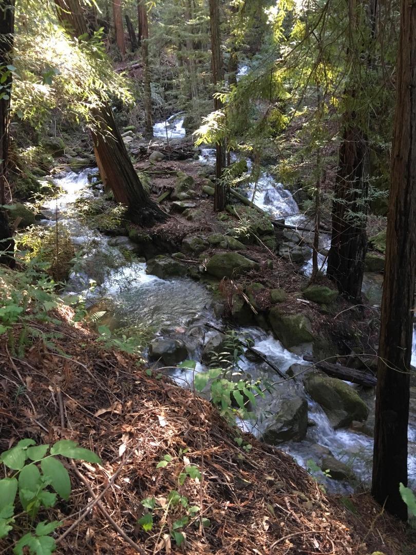 0 Llagas Road, MORGAN HILL, California 95037, ,Lots And Land,For Sale,Llagas Road,40962282