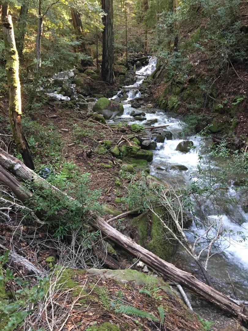 0 Llagas Road, MORGAN HILL, California 95037, ,Lots And Land,For Sale,Llagas Road,40962282