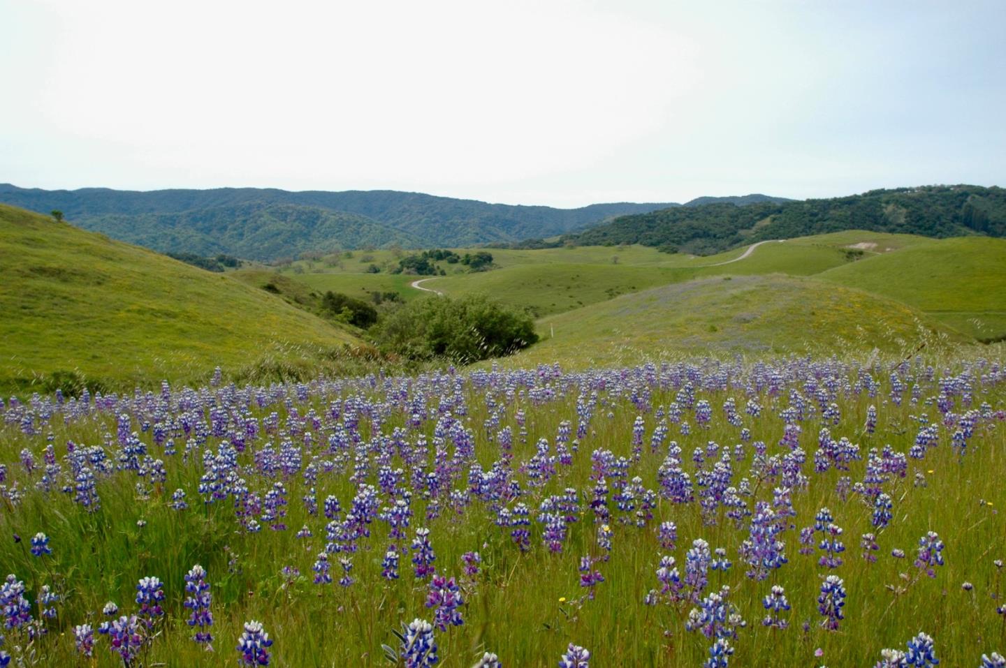 1 Penon Peak Trail, CARMEL, California 93923, ,Lots And Land,For Sale,Penon Peak Trail,40961869