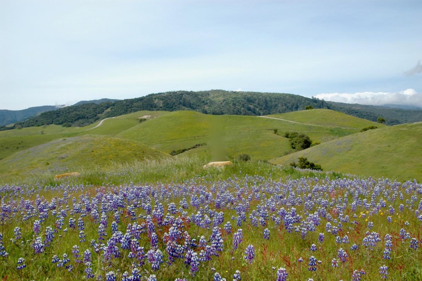 1 Penon Peak Trail, CARMEL, California 93923, ,Lots And Land,For Sale,Penon Peak Trail,40961869