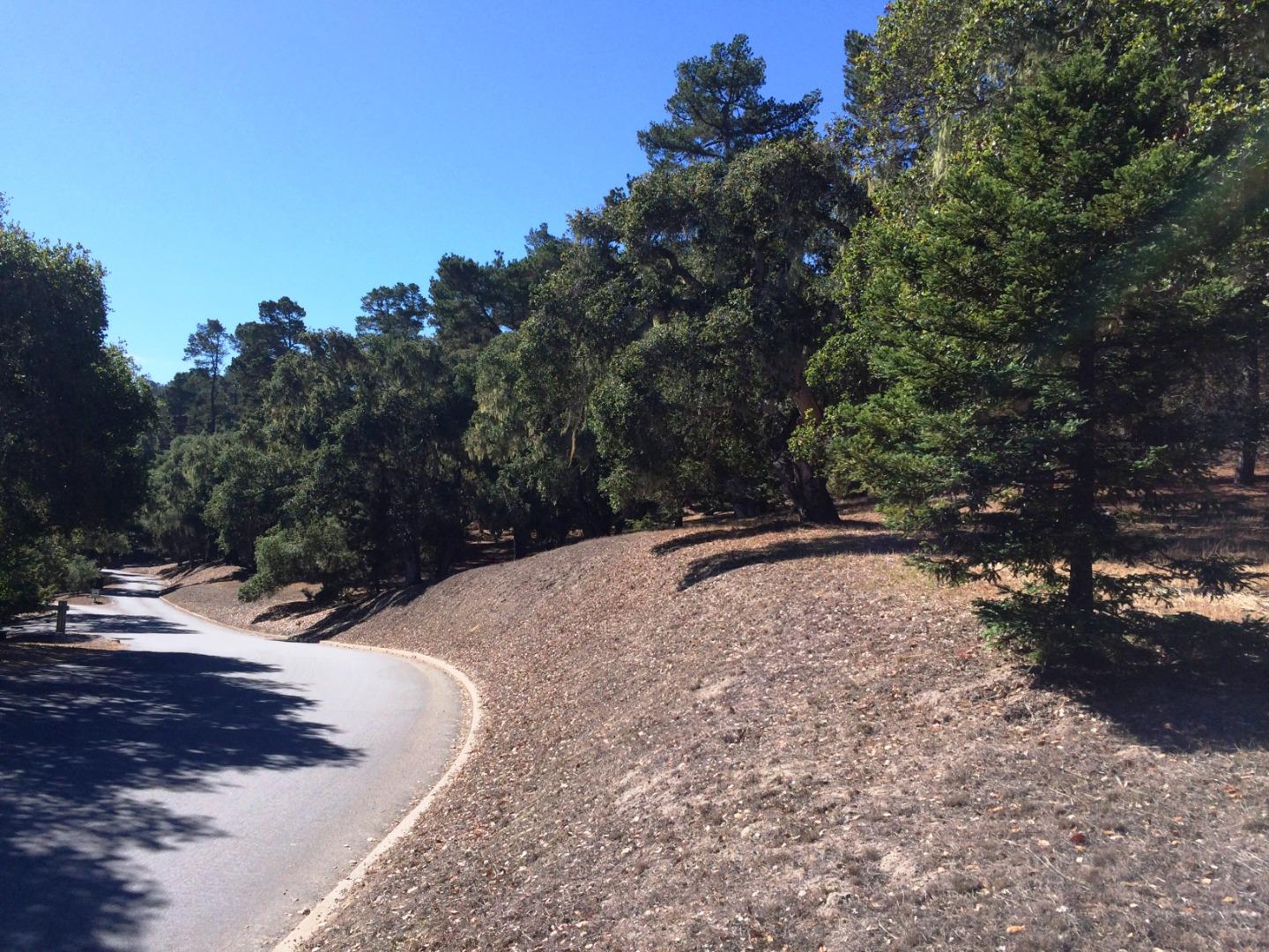 24262 Via Malpaso (Lot 28), MONTEREY, California 93940, ,Lots And Land,For Sale,Via Malpaso (Lot 28),40963766