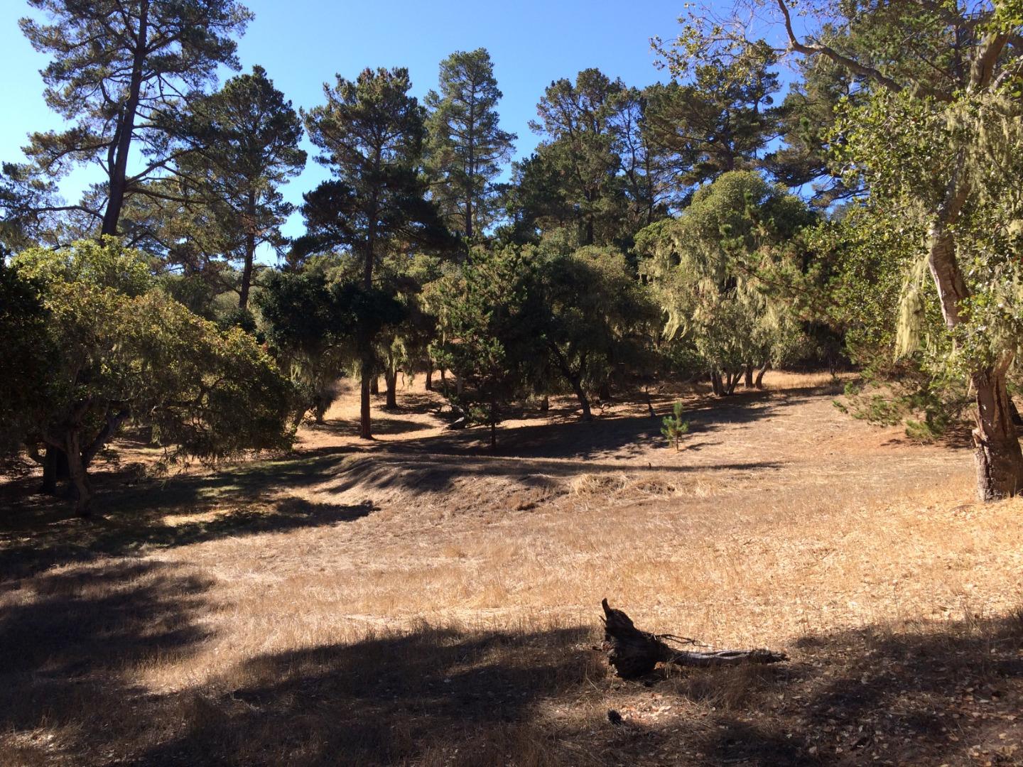 24262 Via Malpaso (Lot 28), MONTEREY, California 93940, ,Lots And Land,For Sale,Via Malpaso (Lot 28),40963766