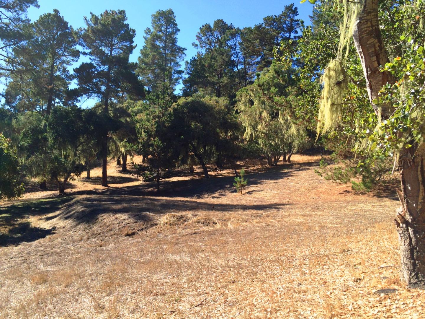 24262 Via Malpaso (Lot 28), MONTEREY, California 93940, ,Lots And Land,For Sale,Via Malpaso (Lot 28),40963766