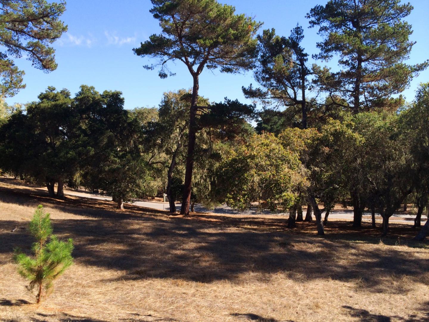 24262 Via Malpaso (Lot 28), MONTEREY, California 93940, ,Lots And Land,For Sale,Via Malpaso (Lot 28),40963766