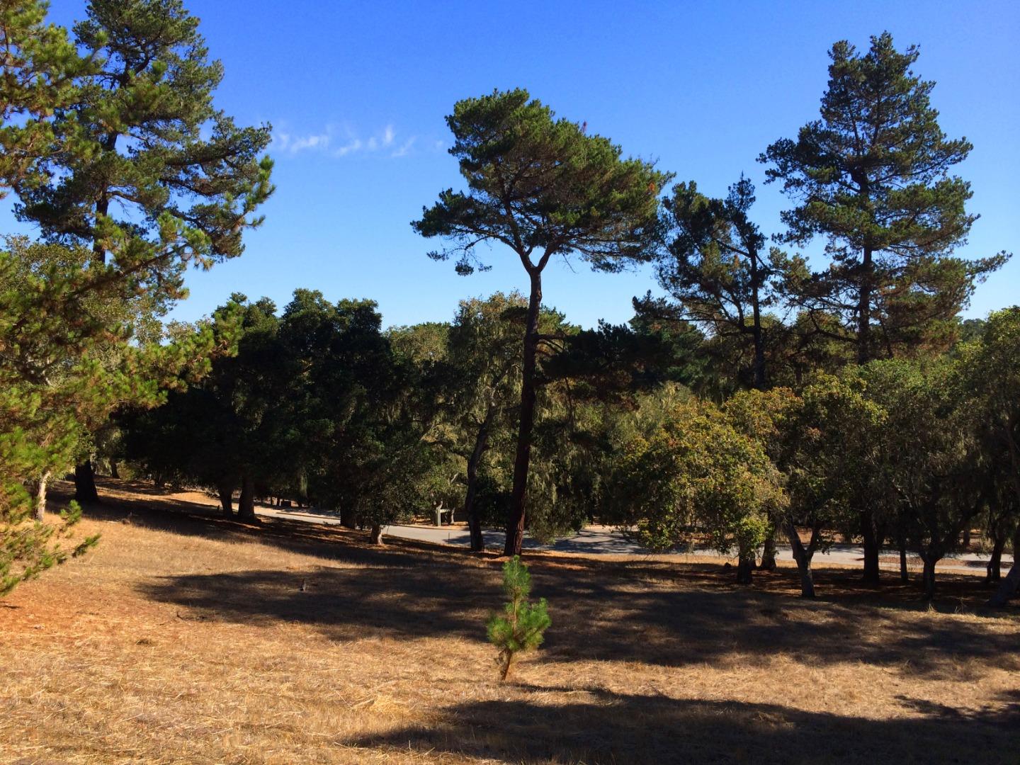 24262 Via Malpaso (Lot 28), MONTEREY, California 93940, ,Lots And Land,For Sale,Via Malpaso (Lot 28),40963766