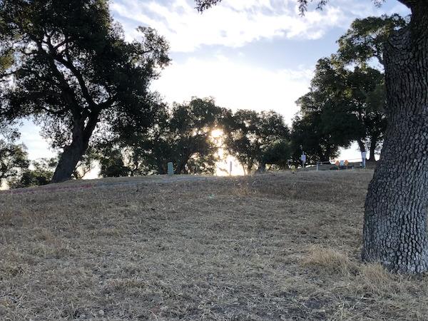 9120 Gunnera Lane, GILROY, California 95020, ,Lots And Land,For Sale,Gunnera Lane,40962371