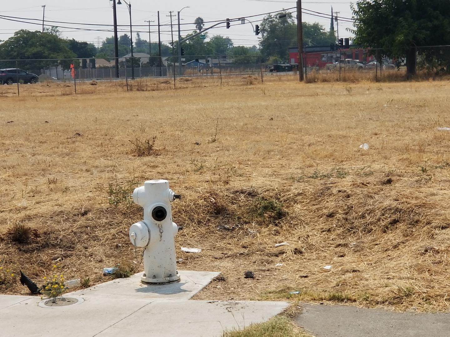 8040 Augusta Way, SACRAMENTO, California 95828, ,Lots And Land,For Sale,Augusta Way,40963356