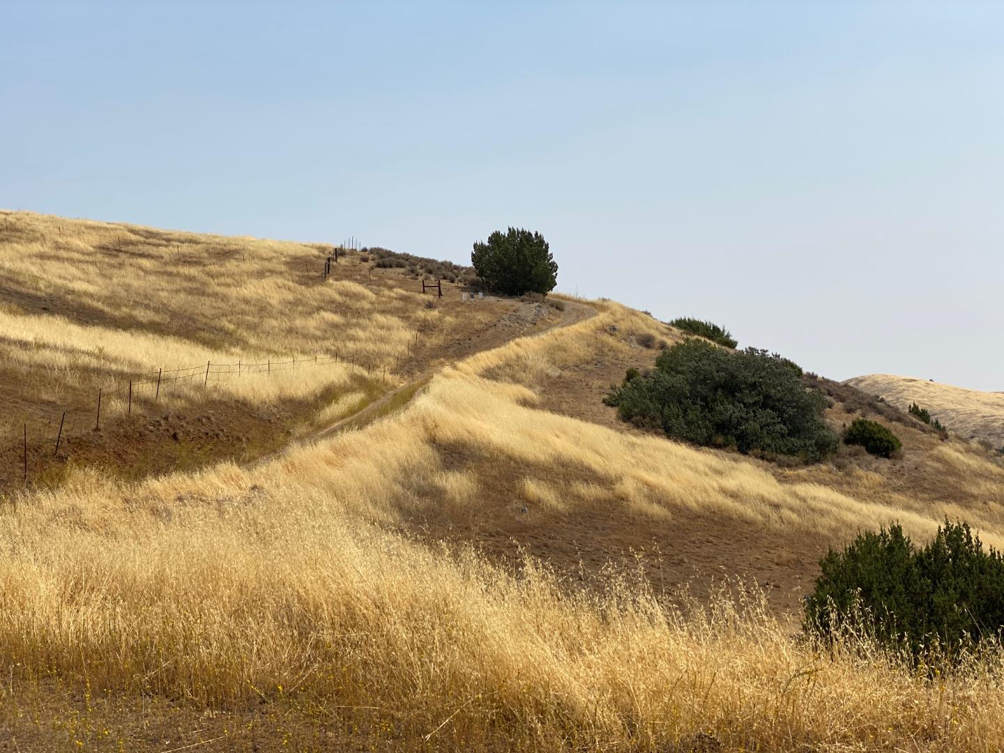 Lot 21 Panoche Road, PAICINES, California 95043, ,Lots And Land,For Sale,Panoche Road,40963658