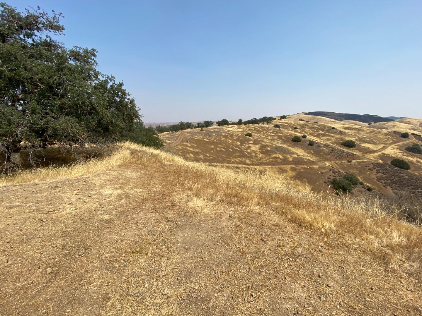 Lot 21 Panoche Road, PAICINES, California 95043, ,Lots And Land,For Sale,Panoche Road,40963658