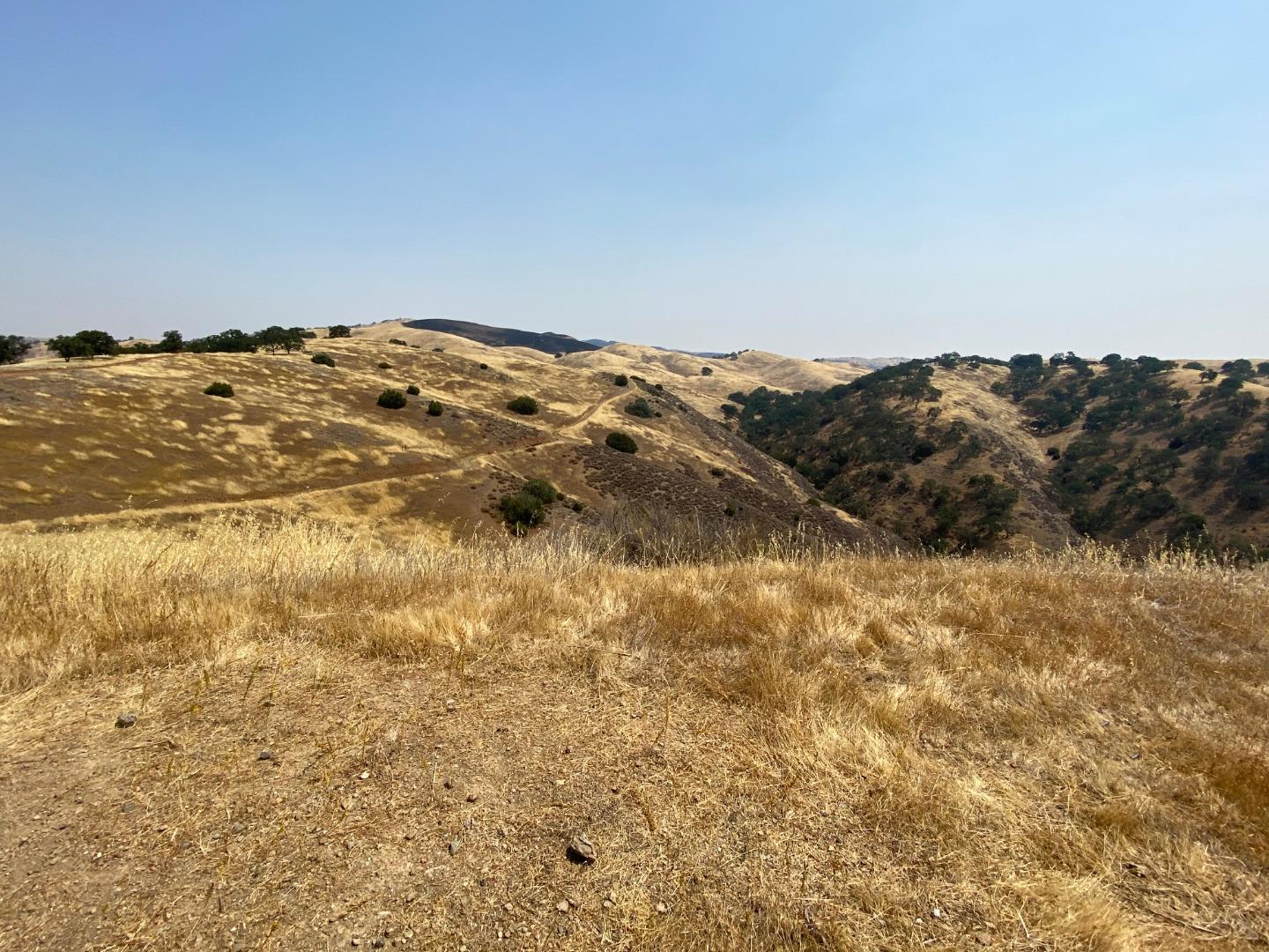 Lot 21 Panoche Road, PAICINES, California 95043, ,Lots And Land,For Sale,Panoche Road,40963658