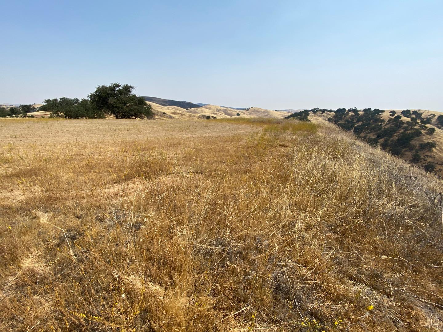 Lot 21 Panoche Road, PAICINES, California 95043, ,Lots And Land,For Sale,Panoche Road,40963658