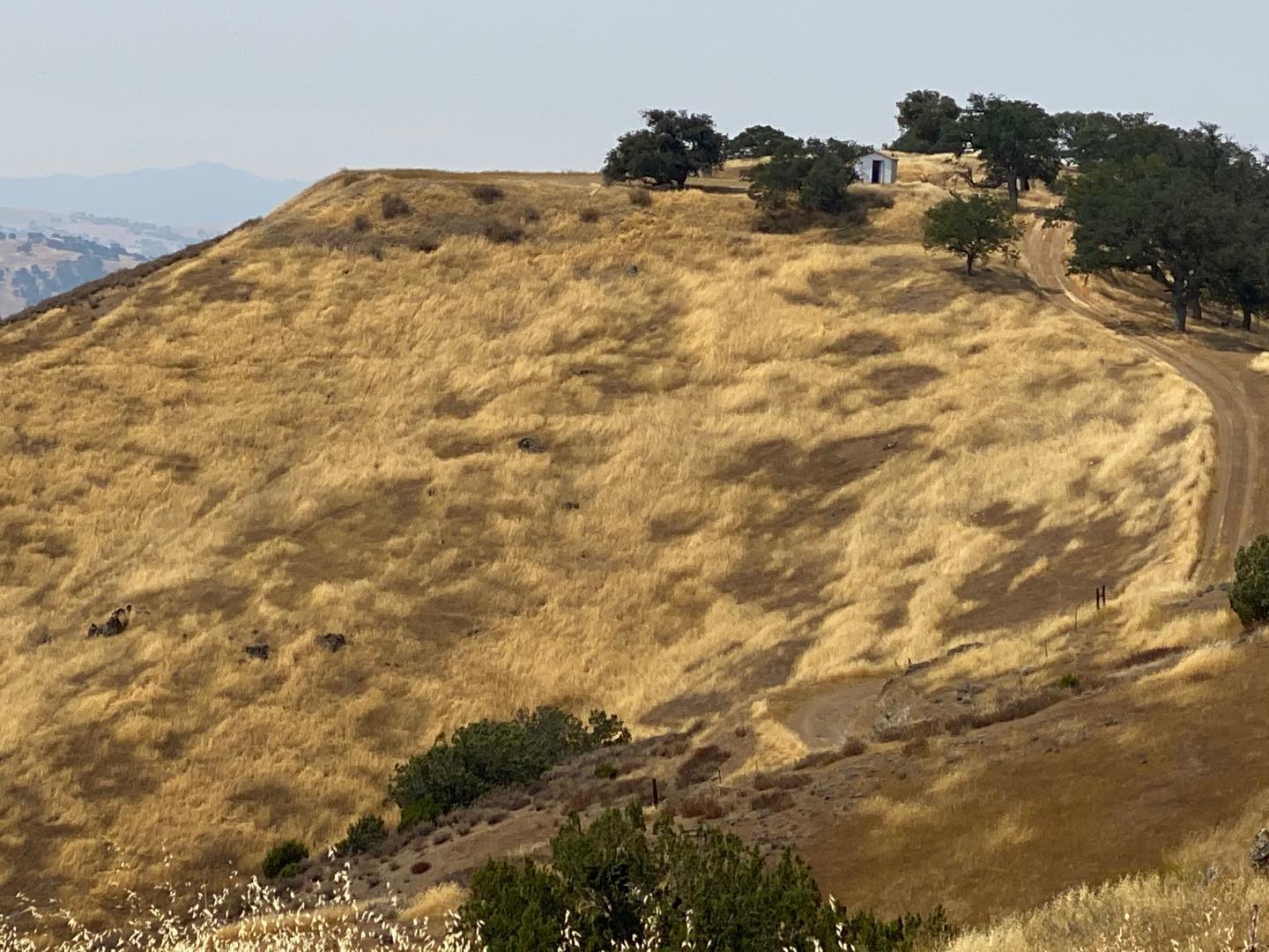 Lot 21 Panoche Road, PAICINES, California 95043, ,Lots And Land,For Sale,Panoche Road,40963658