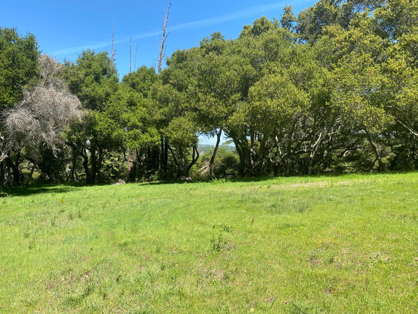 31 Potrero Trail, CARMEL, California 93923, ,Lots And Land,For Sale,Potrero Trail,40962173