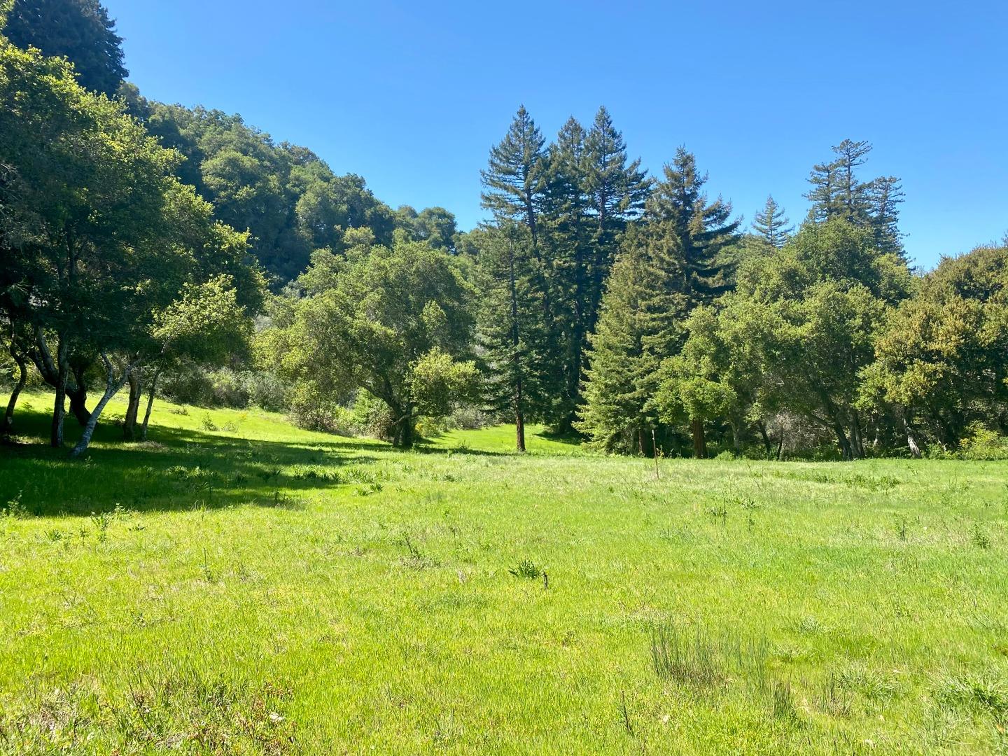 31 Potrero Trail, CARMEL, California 93923, ,Lots And Land,For Sale,Potrero Trail,40962173