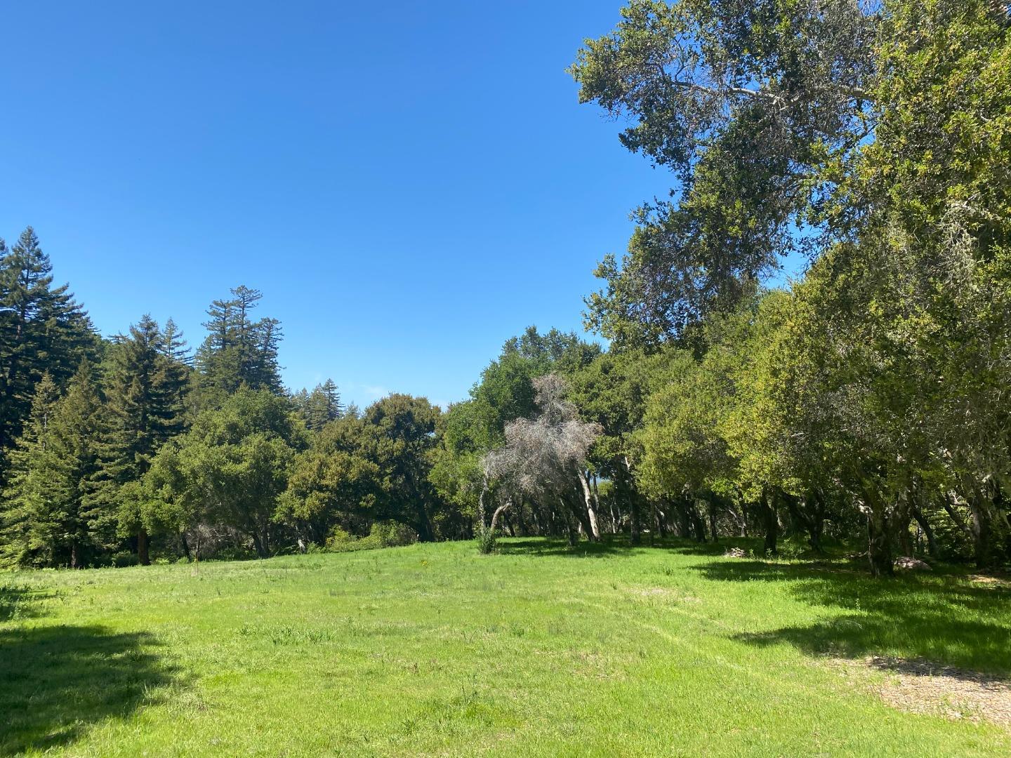 31 Potrero Trail, CARMEL, California 93923, ,Lots And Land,For Sale,Potrero Trail,40962173