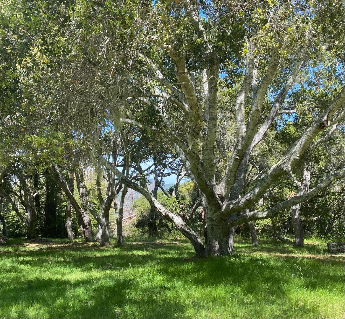 31 Potrero Trail, CARMEL, California 93923, ,Lots And Land,For Sale,Potrero Trail,40962173