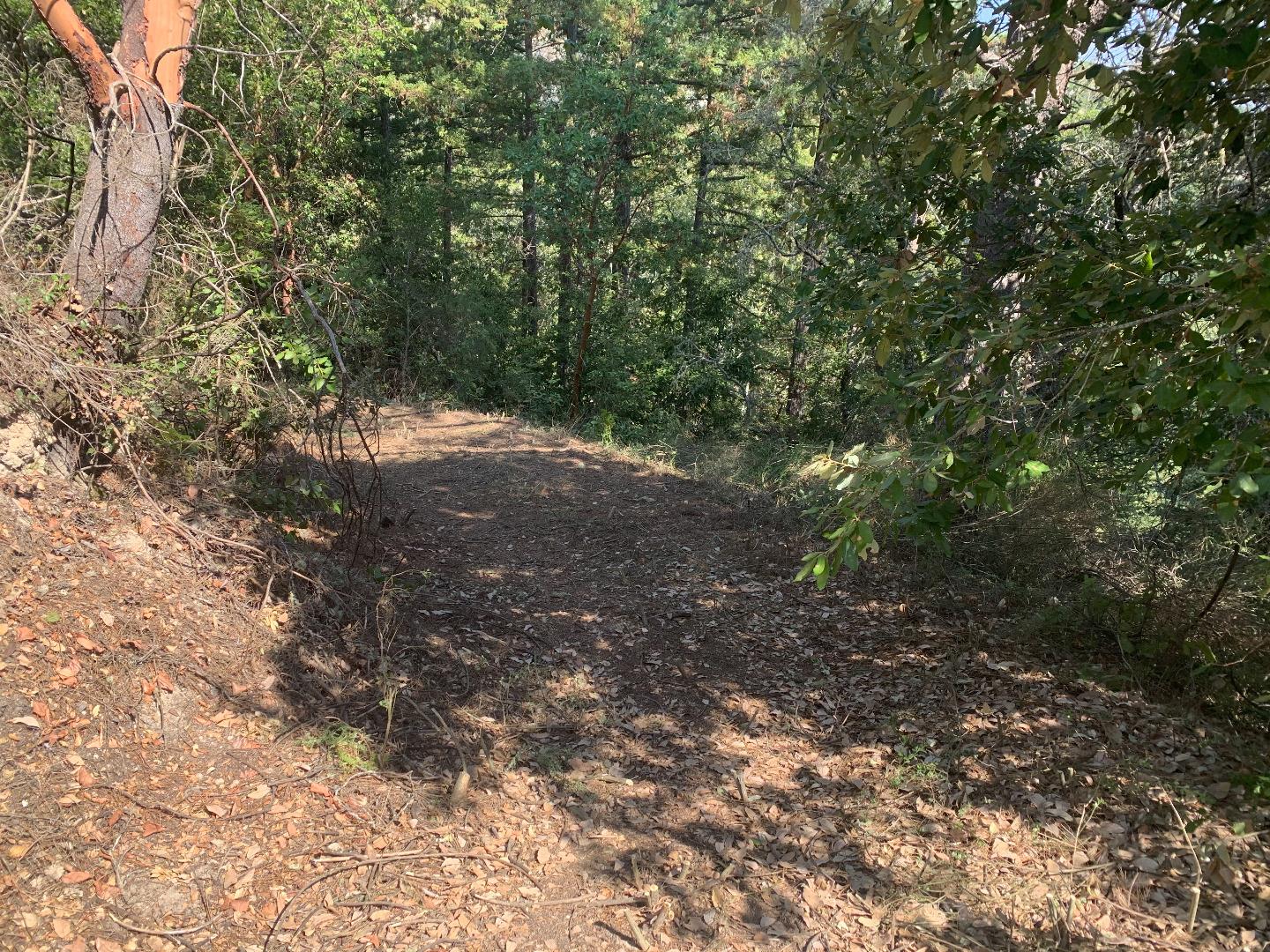 950 Middleton Drive, BOULDER CREEK, California 95006, ,Lots And Land,For Sale,Middleton Drive,40963204