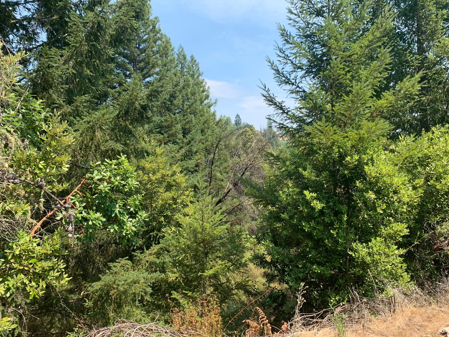 950 Middleton Drive, BOULDER CREEK, California 95006, ,Lots And Land,For Sale,Middleton Drive,40963204