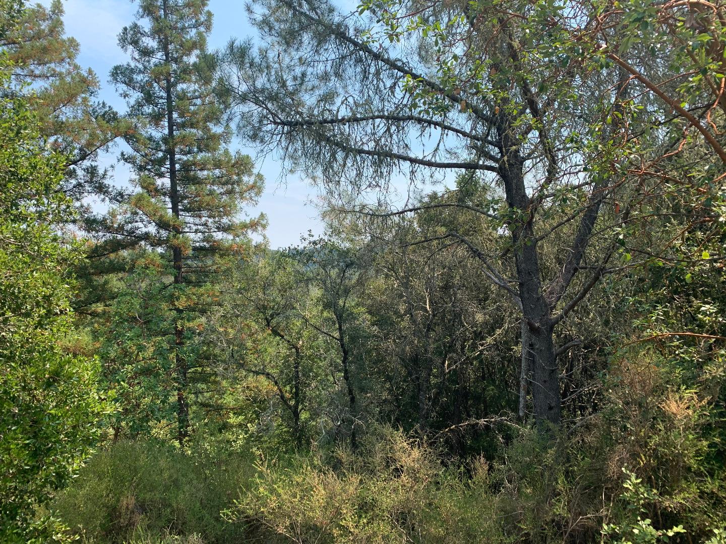 950 Middleton Drive, BOULDER CREEK, California 95006, ,Lots And Land,For Sale,Middleton Drive,40963204
