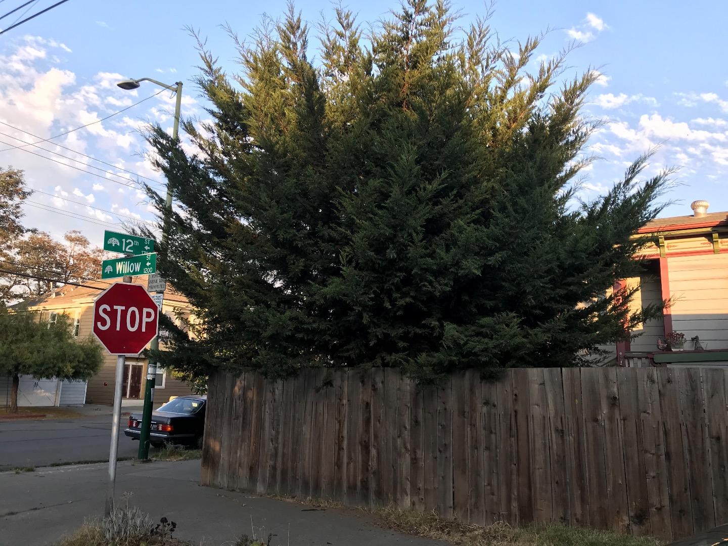 1699 12th Street, OAKLAND, California 94607, ,Lots And Land,For Sale,12th Street,40963161