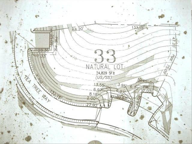 8971 Tea Tree Way, GILROY, California 95020, ,Lots And Land,For Sale,Tea Tree Way,40961973