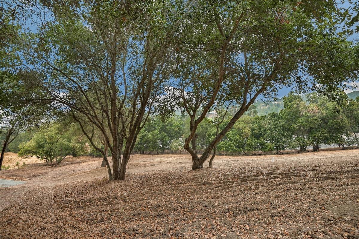 27360 Elena Road, LOS ALTOS HILLS, California 94022, ,Lots And Land,For Sale,Elena Road,40963094
