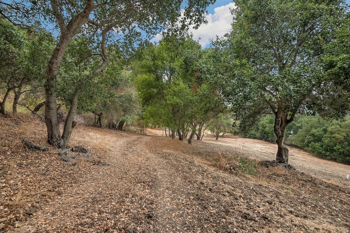 27360 Elena Road, LOS ALTOS HILLS, California 94022, ,Lots And Land,For Sale,Elena Road,40963094