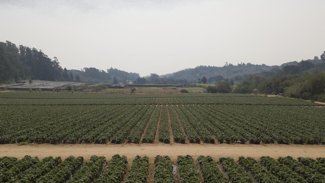 215 Spring View Road, LA SELVA BEACH, California 95076, ,Comm Lots And Land,For Sale,Spring View Road,40962298