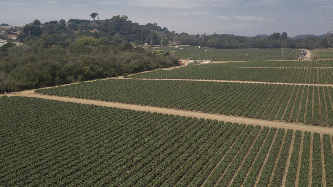 215 Spring View Road, LA SELVA BEACH, California 95076, ,Comm Lots And Land,For Sale,Spring View Road,40962298