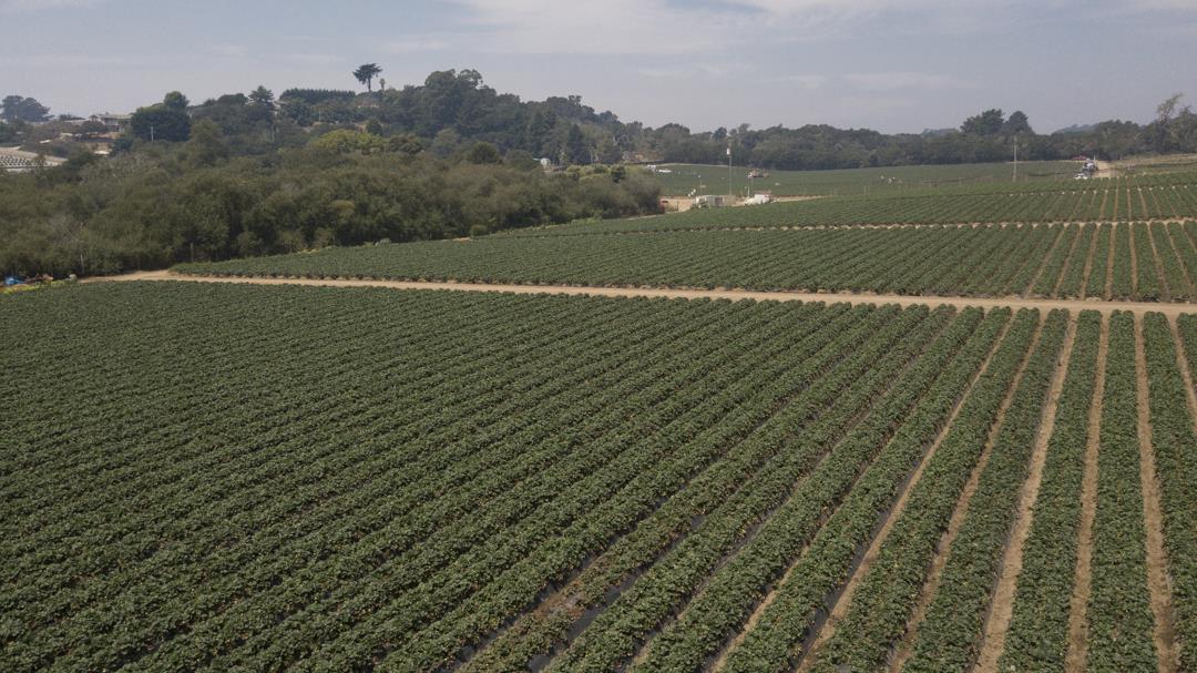 215 Spring View Road, LA SELVA BEACH, California 95076, ,Comm Lots And Land,For Sale,Spring View Road,40962298