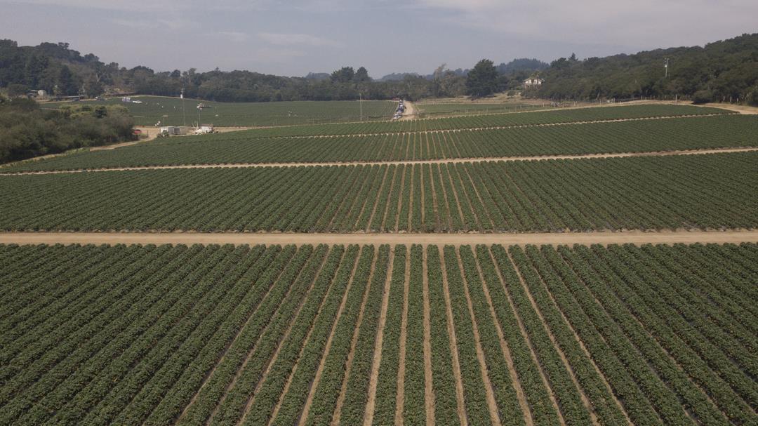 215 Spring View Road, LA SELVA BEACH, California 95076, ,Comm Lots And Land,For Sale,Spring View Road,40962298