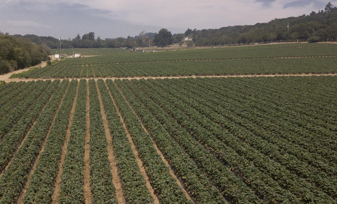 215 Spring View Road, LA SELVA BEACH, California 95076, ,Comm Lots And Land,For Sale,Spring View Road,40962298