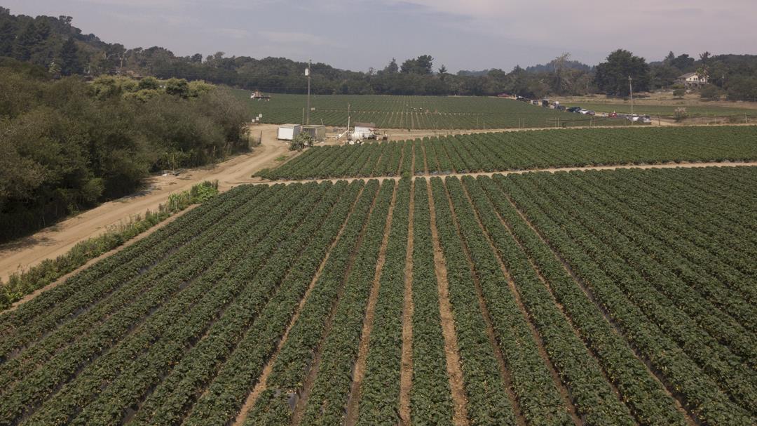 215 Spring View Road, LA SELVA BEACH, California 95076, ,Comm Lots And Land,For Sale,Spring View Road,40962298