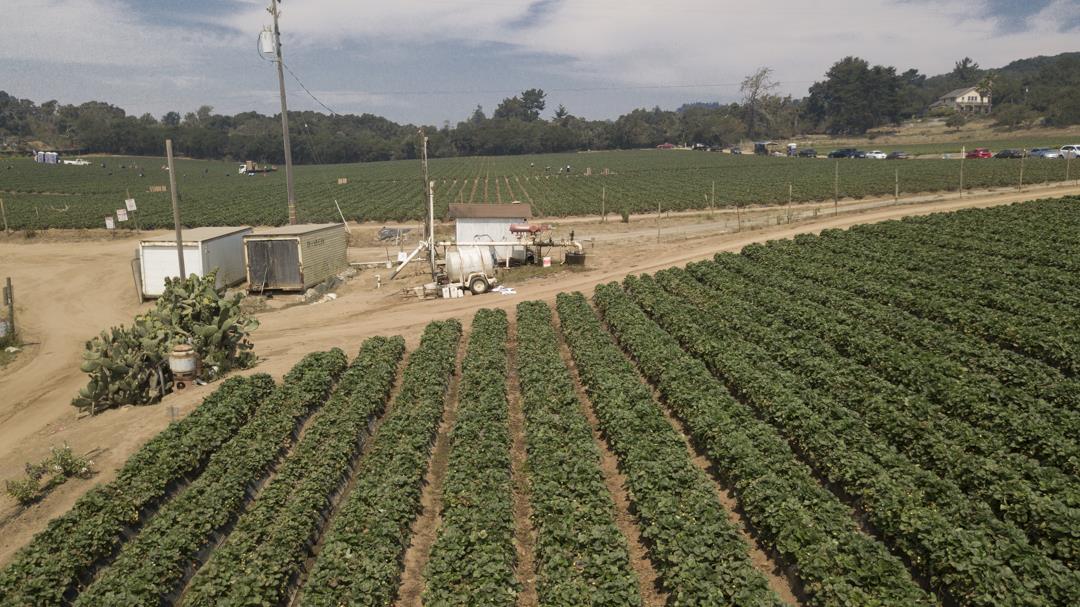 215 Spring View Road, LA SELVA BEACH, California 95076, ,Comm Lots And Land,For Sale,Spring View Road,40962298